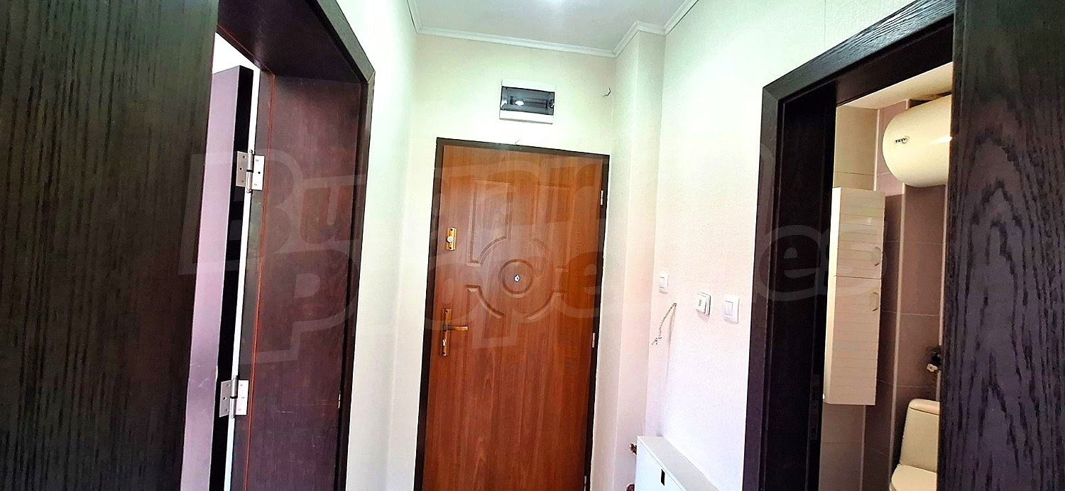 Gallery Picture 13