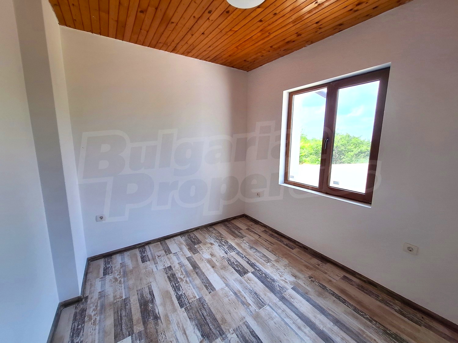 Gallery Picture 19