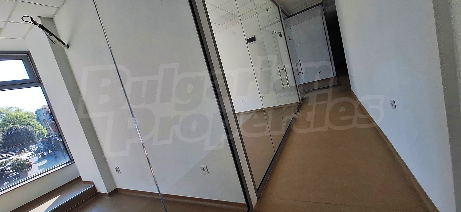 Gallery Picture 12