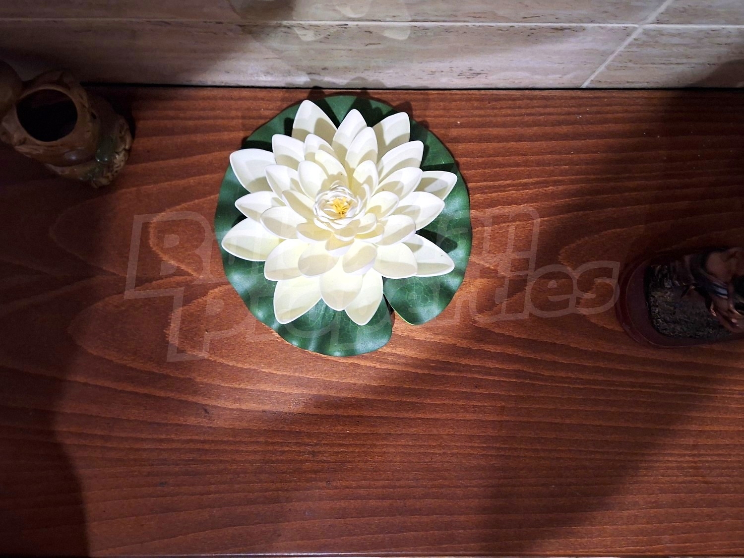 Gallery Picture 12