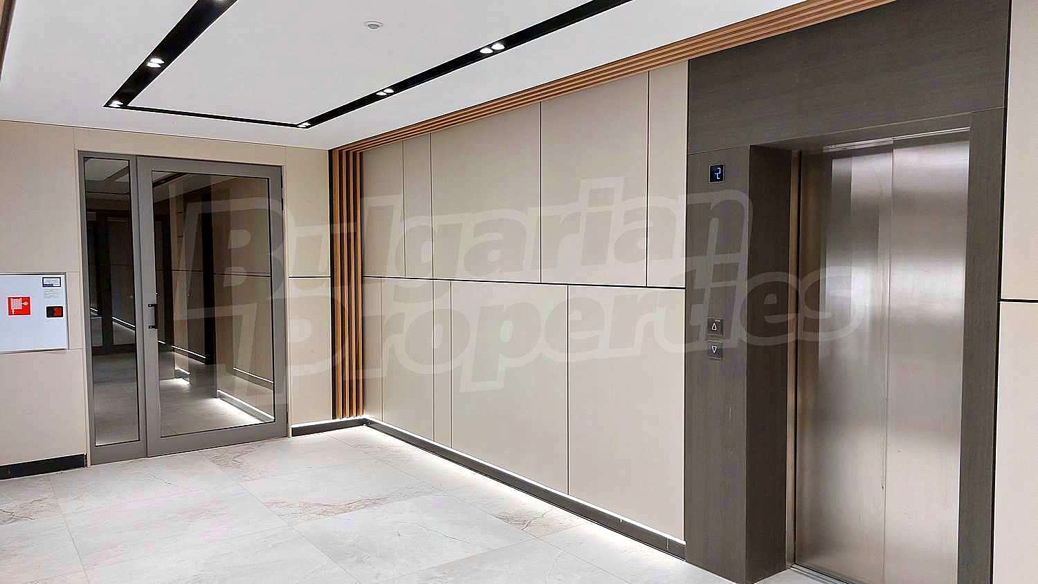 Gallery Picture 39