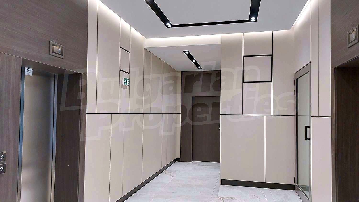 Gallery Picture 43
