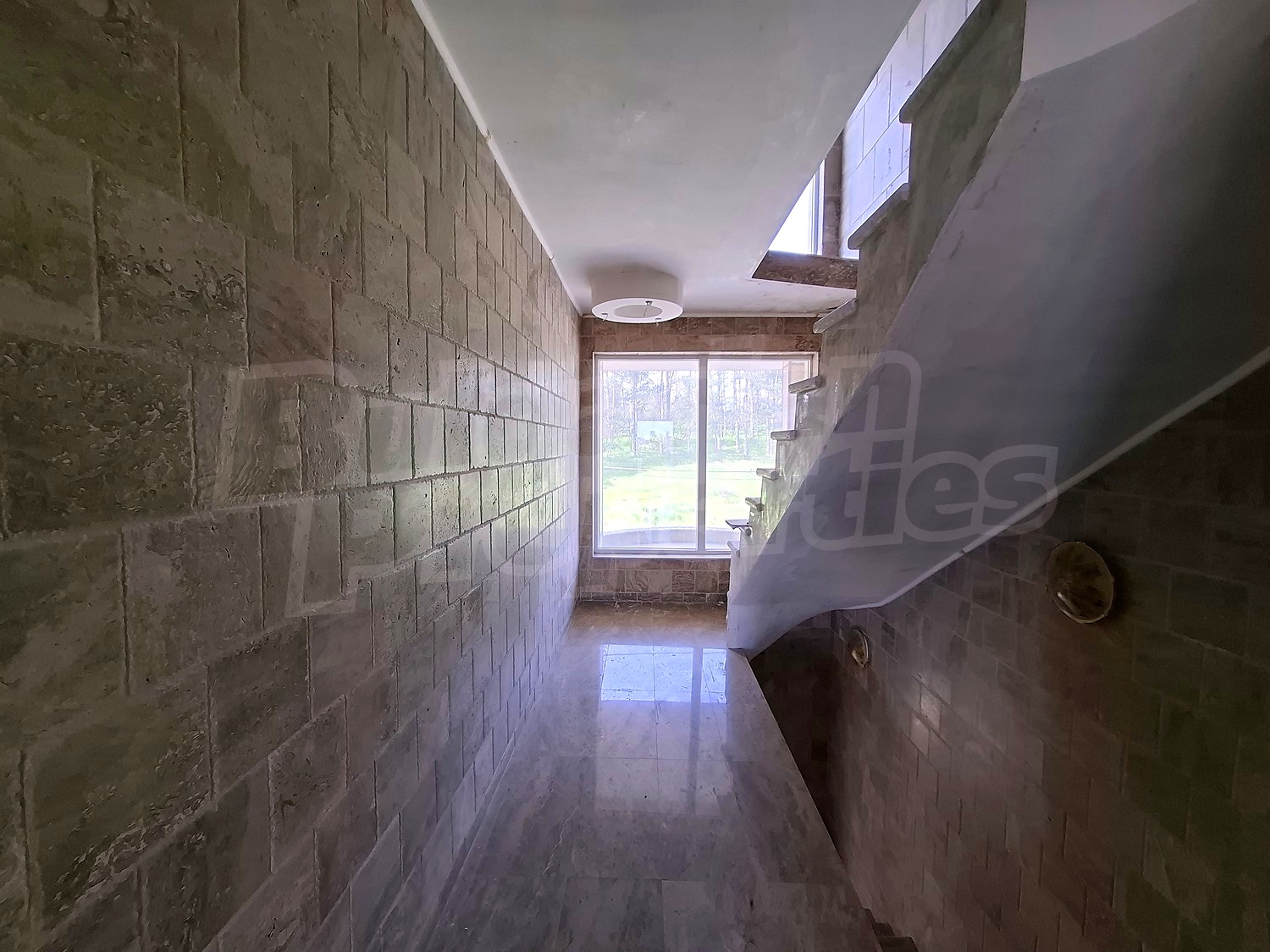 Gallery Picture 51