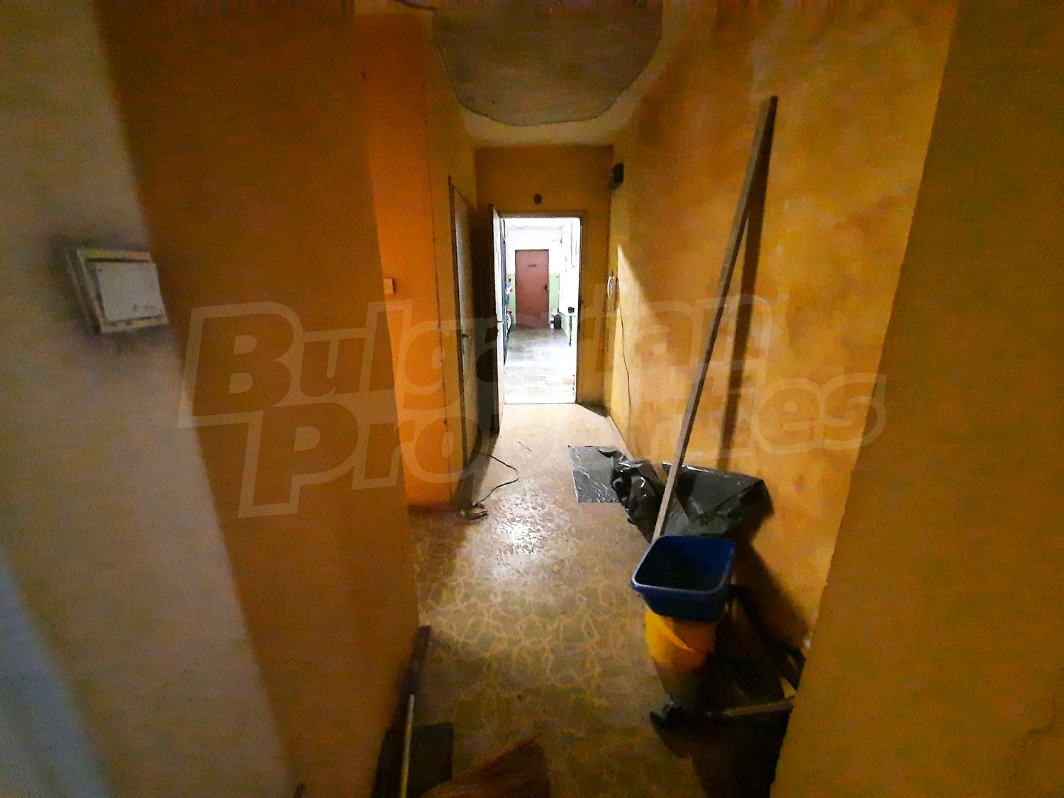 Gallery Picture 5