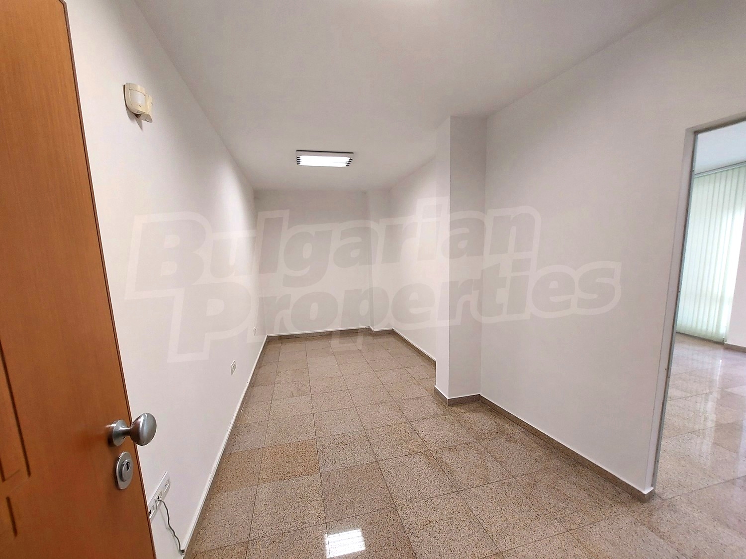 Gallery Picture 11