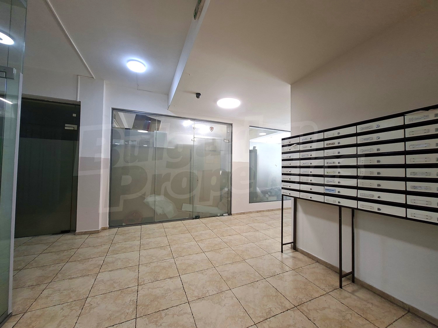 Gallery Picture 12