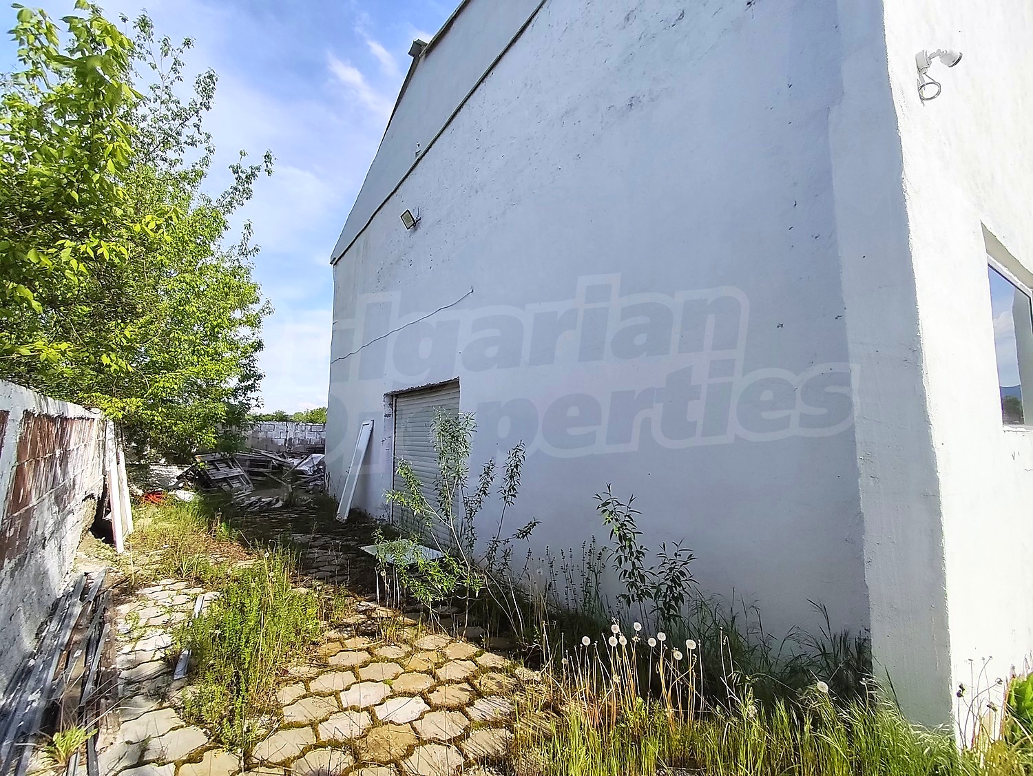 Gallery Picture 20