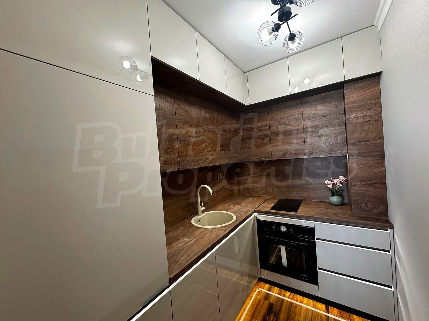 Gallery Picture 8