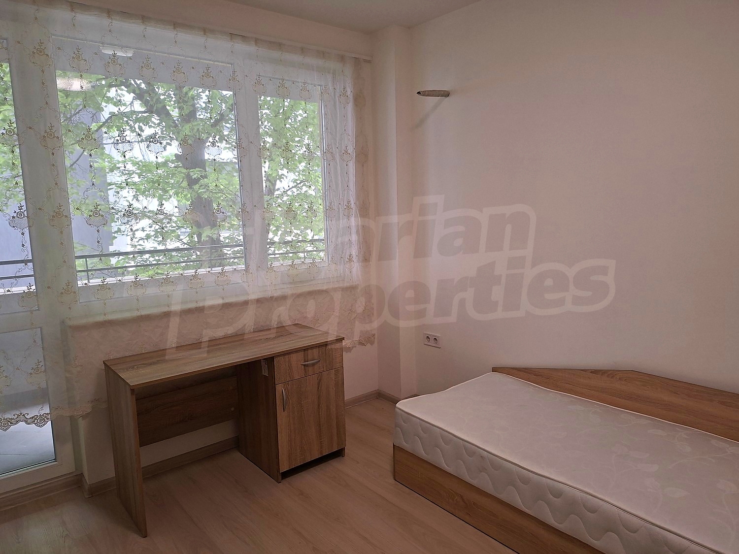 Gallery Picture 16