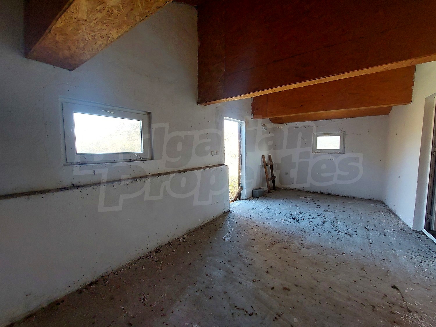 Gallery Picture 11