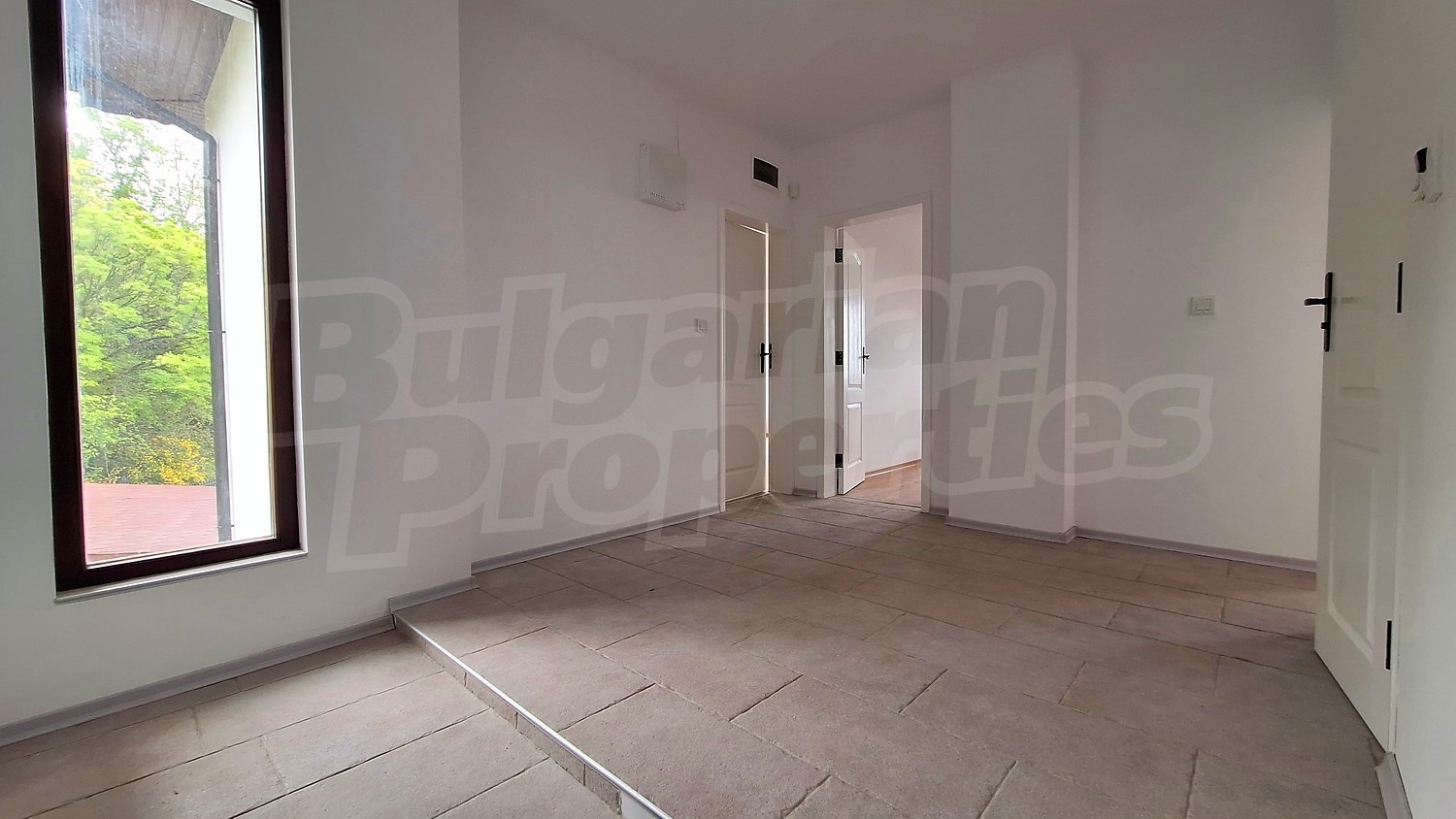 Gallery Picture 19