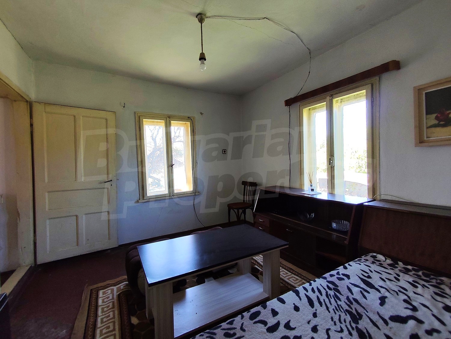 Gallery Picture 15