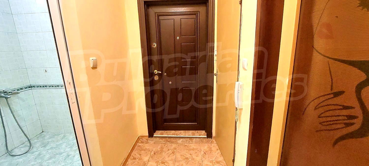 Gallery Picture 11