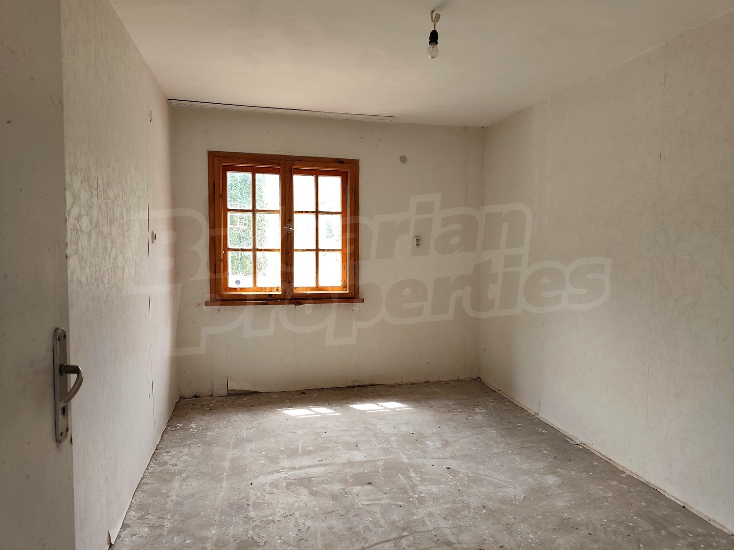 Gallery Picture 25