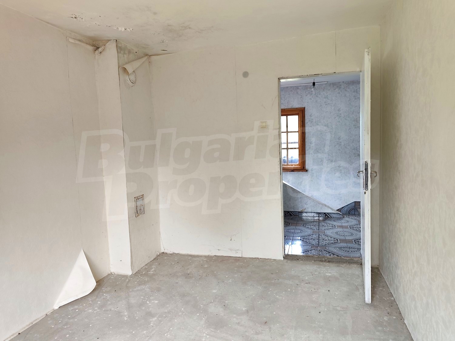 Gallery Picture 26