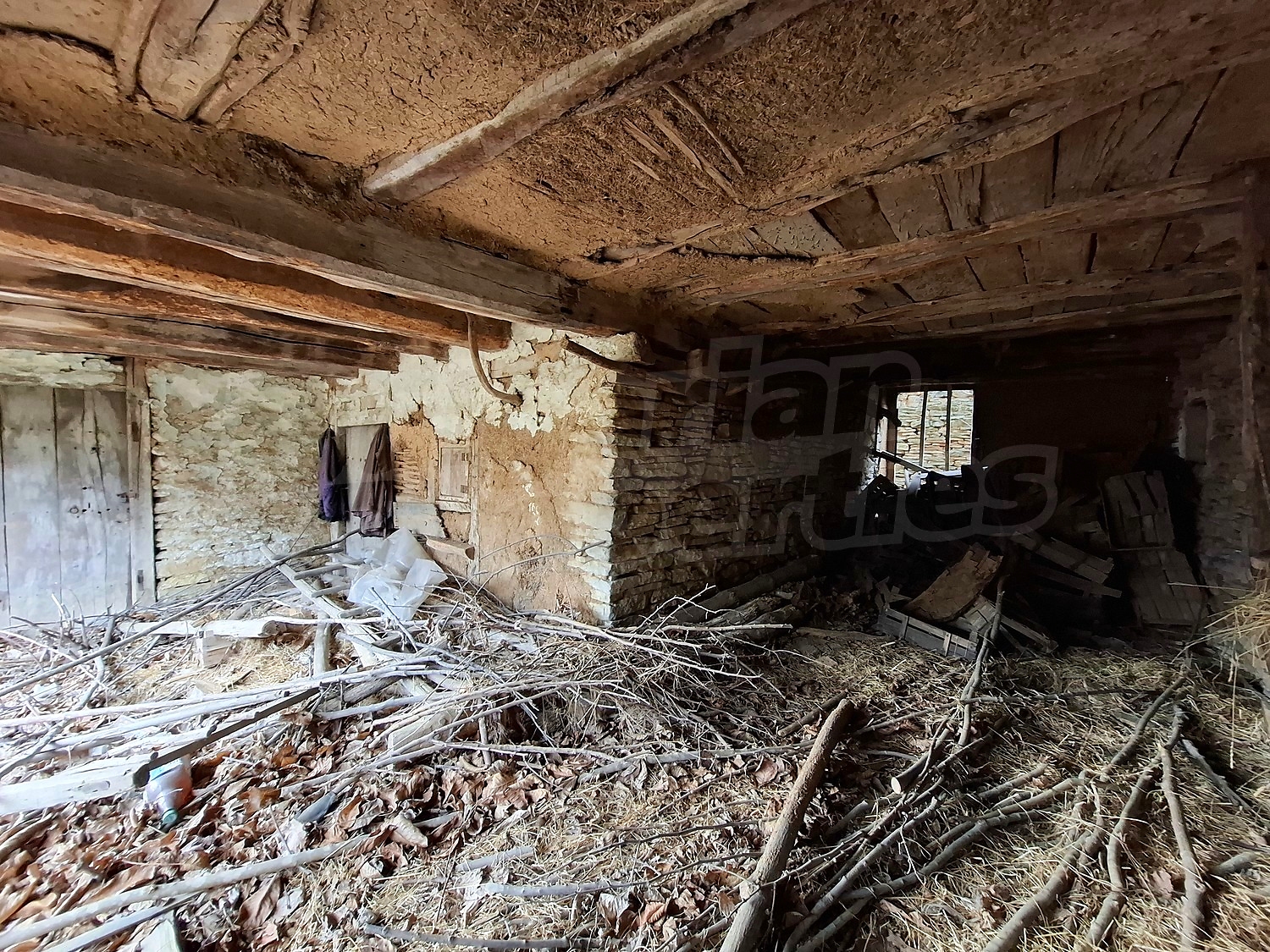 Gallery Picture 10