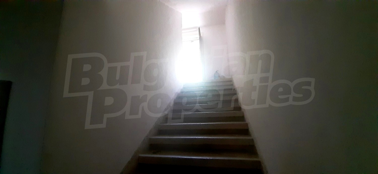 Gallery Picture 30