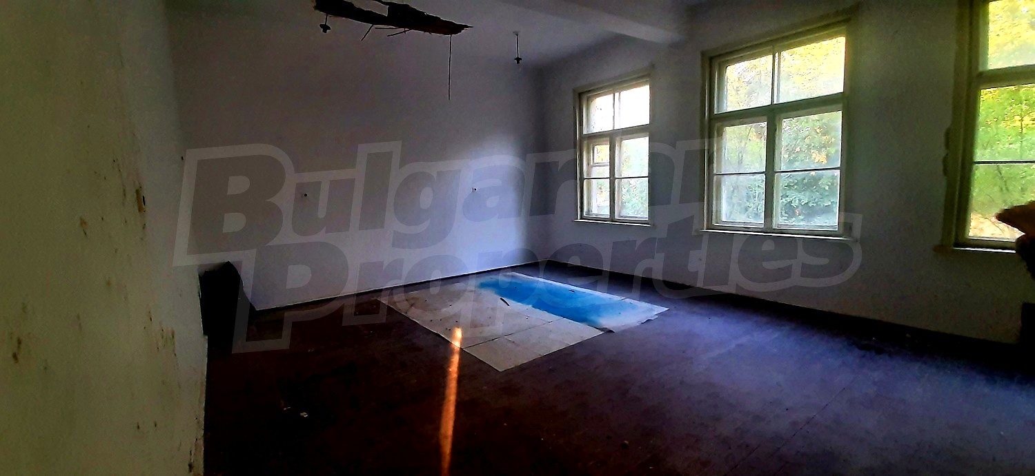 Gallery Picture 15