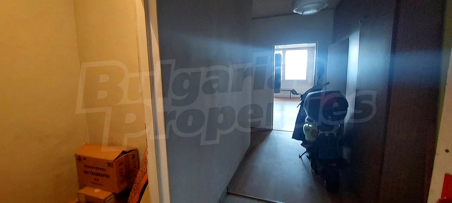 Gallery Picture 24