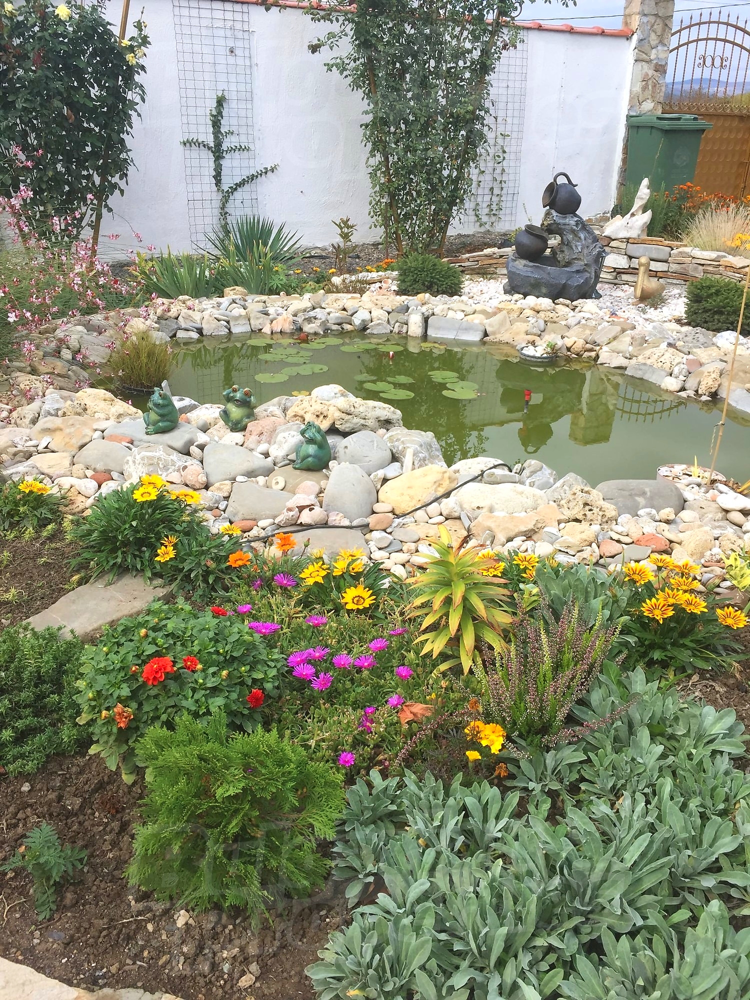 Gallery Picture 35