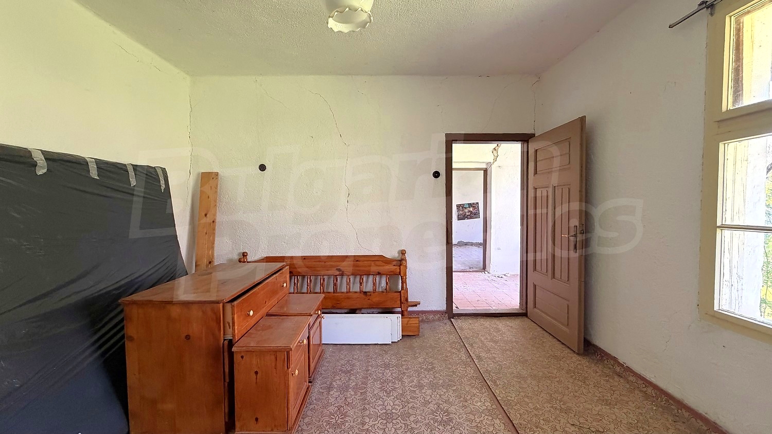 Gallery Picture 16