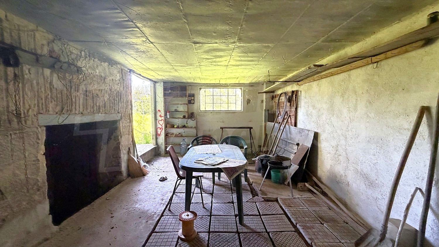 Gallery Picture 41