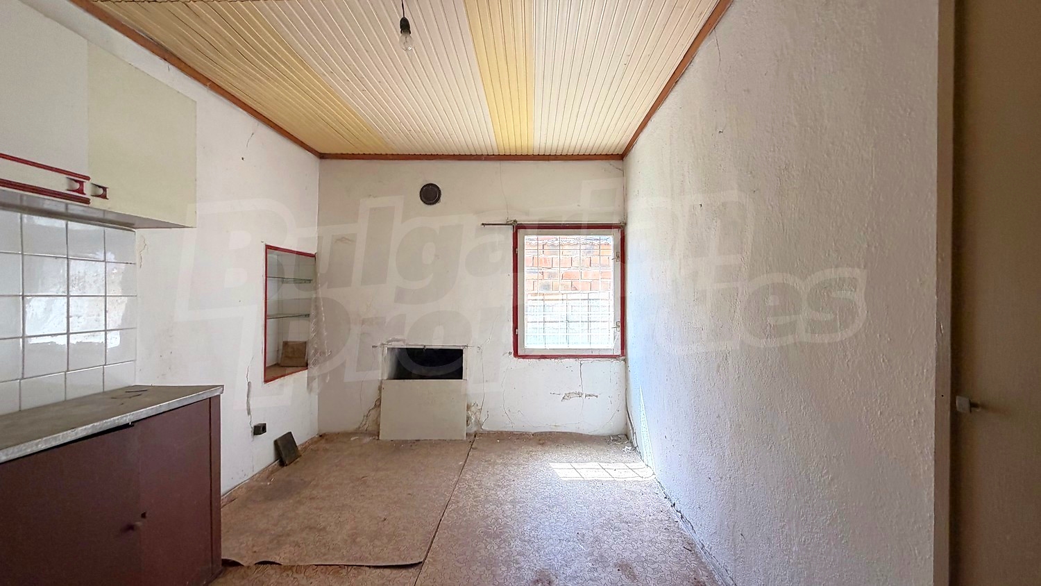 Gallery Picture 12