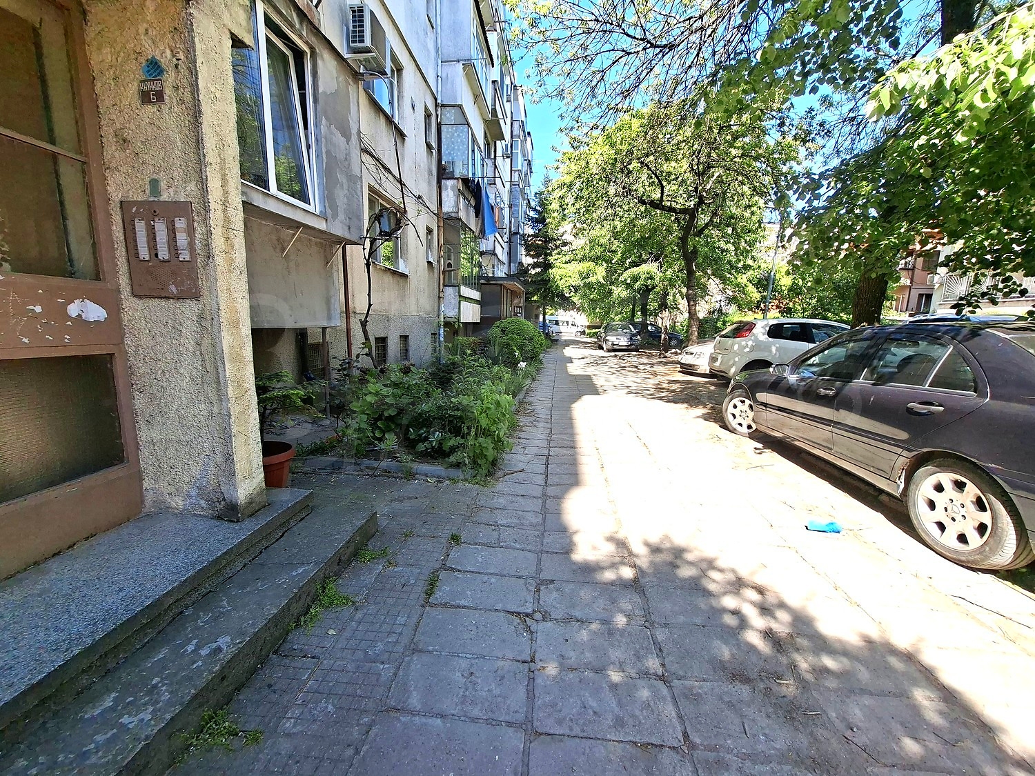 Gallery Picture 15