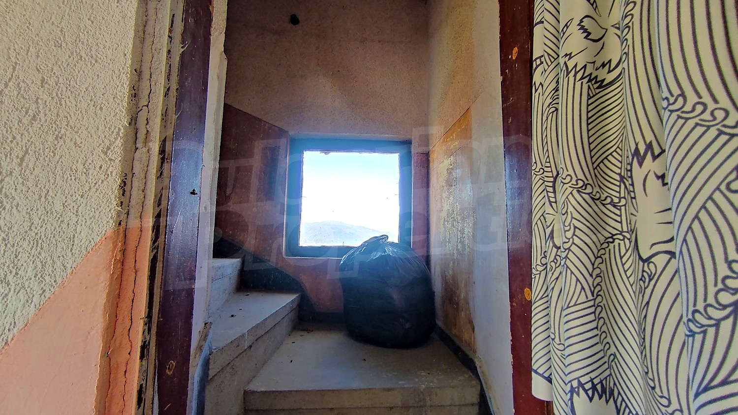 Gallery Picture 27