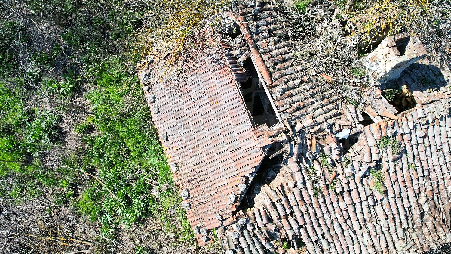 Gallery Picture 7
