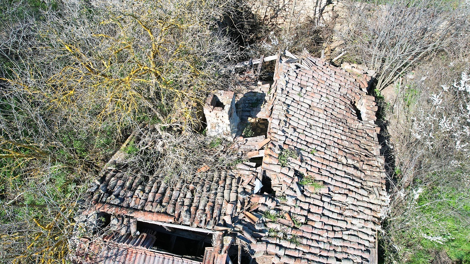 Gallery Picture 14