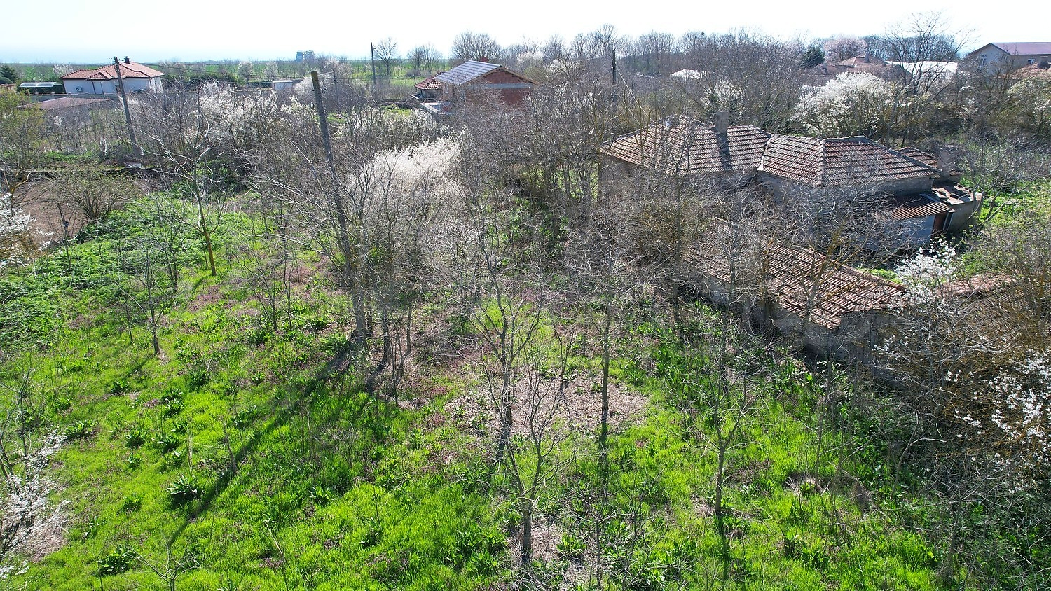 Gallery Picture 18