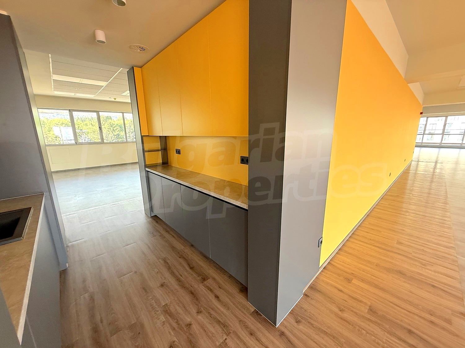 Gallery Picture 16