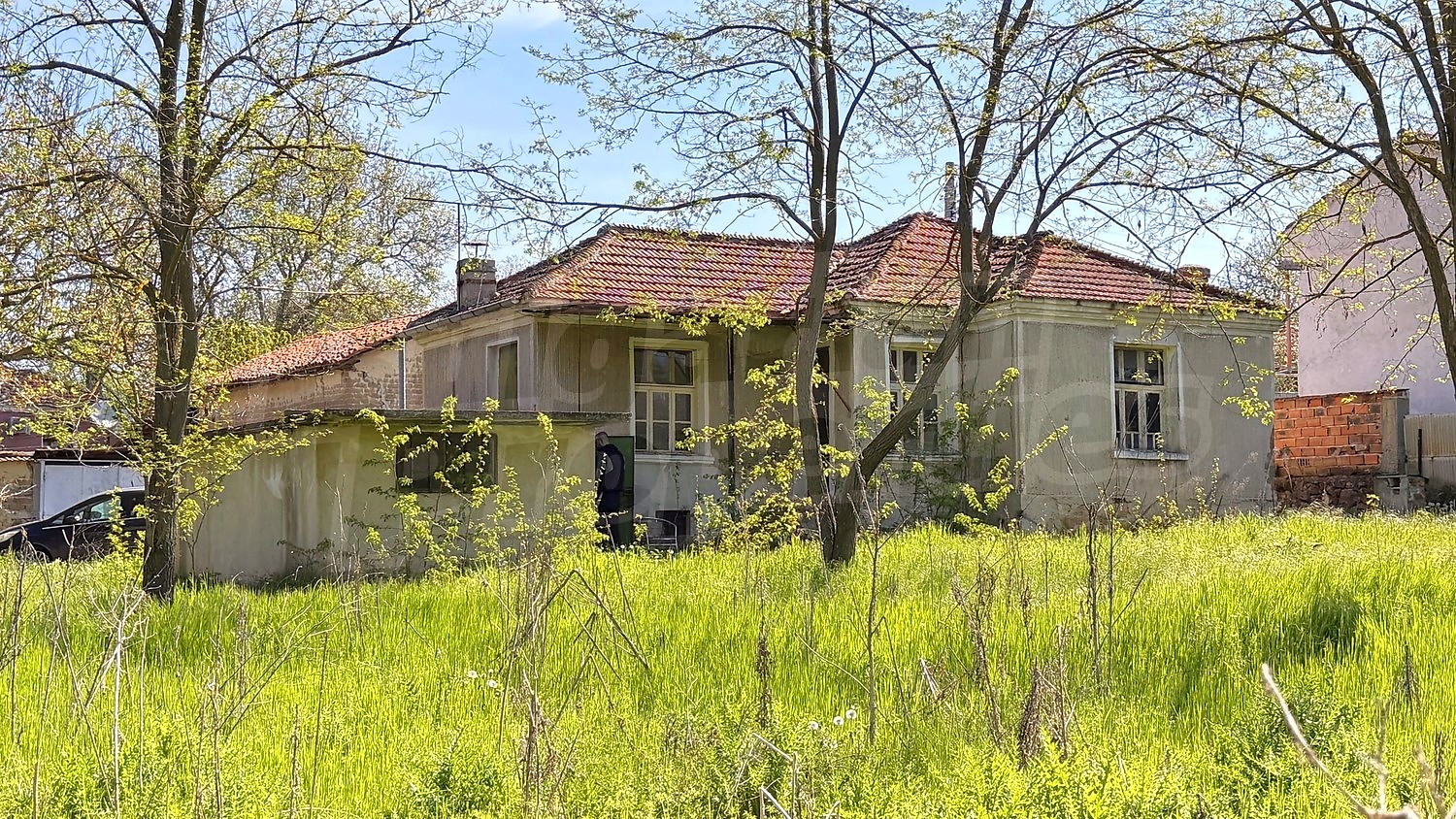 Gallery Picture 38