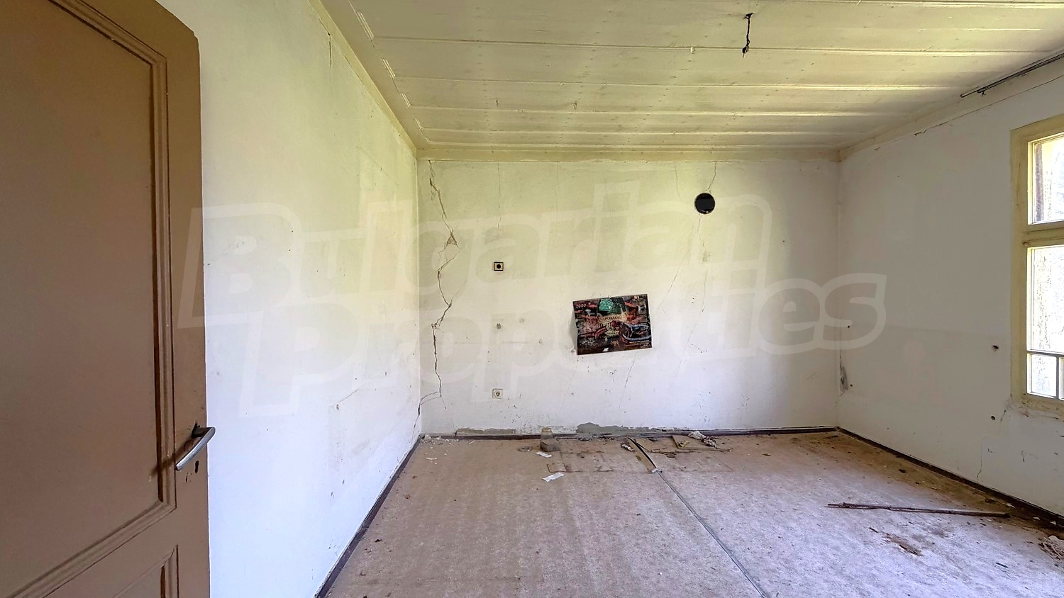 Gallery Picture 17