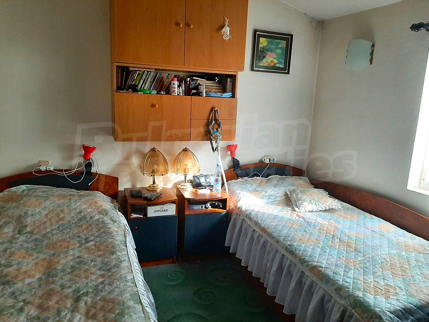 Gallery Picture 10