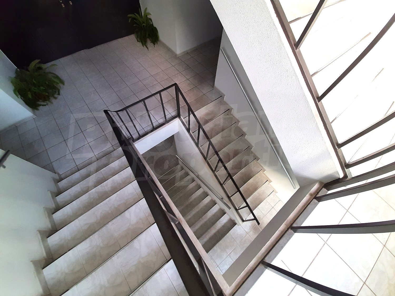 Gallery Picture 5