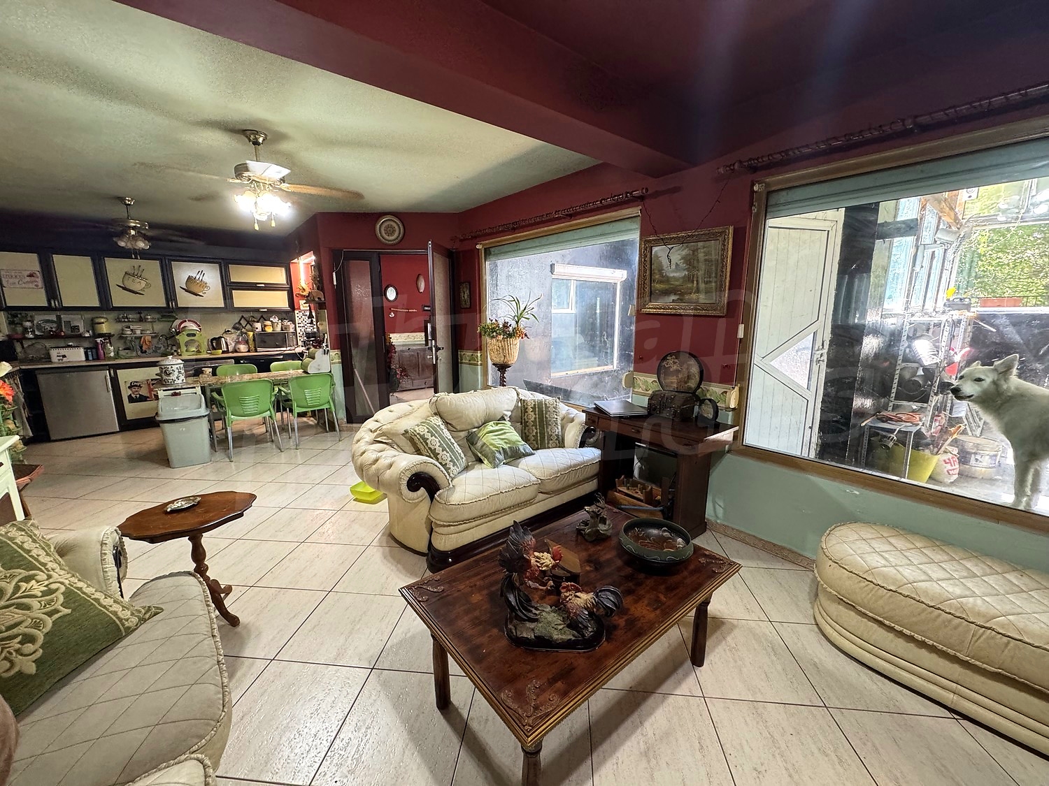 Gallery Picture 17