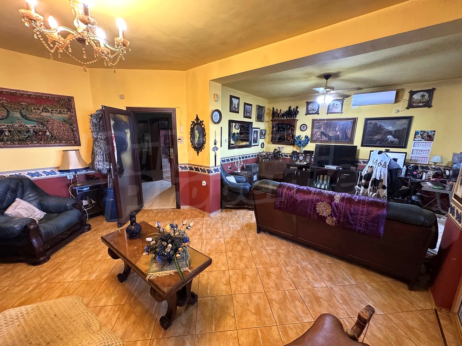 Gallery Picture 7