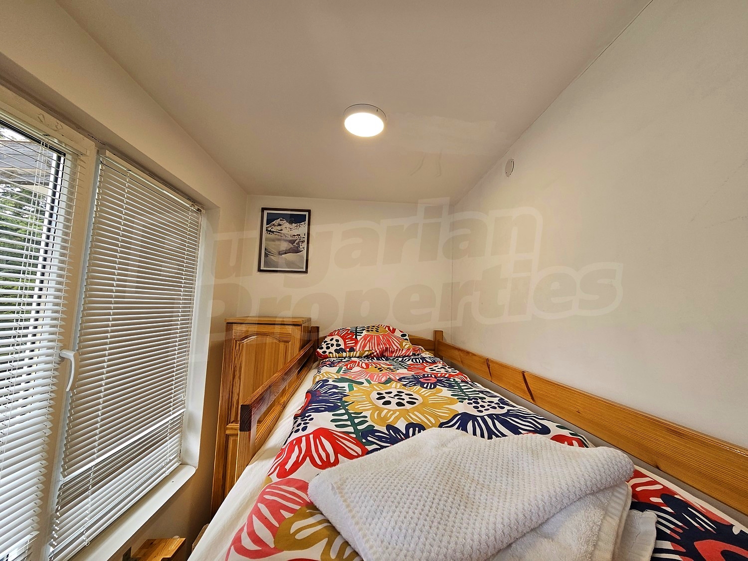 Gallery Picture 14