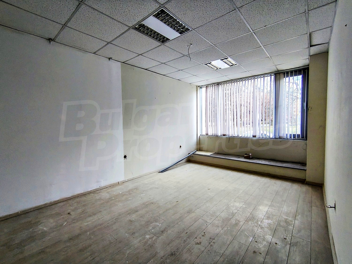 Gallery Picture 4