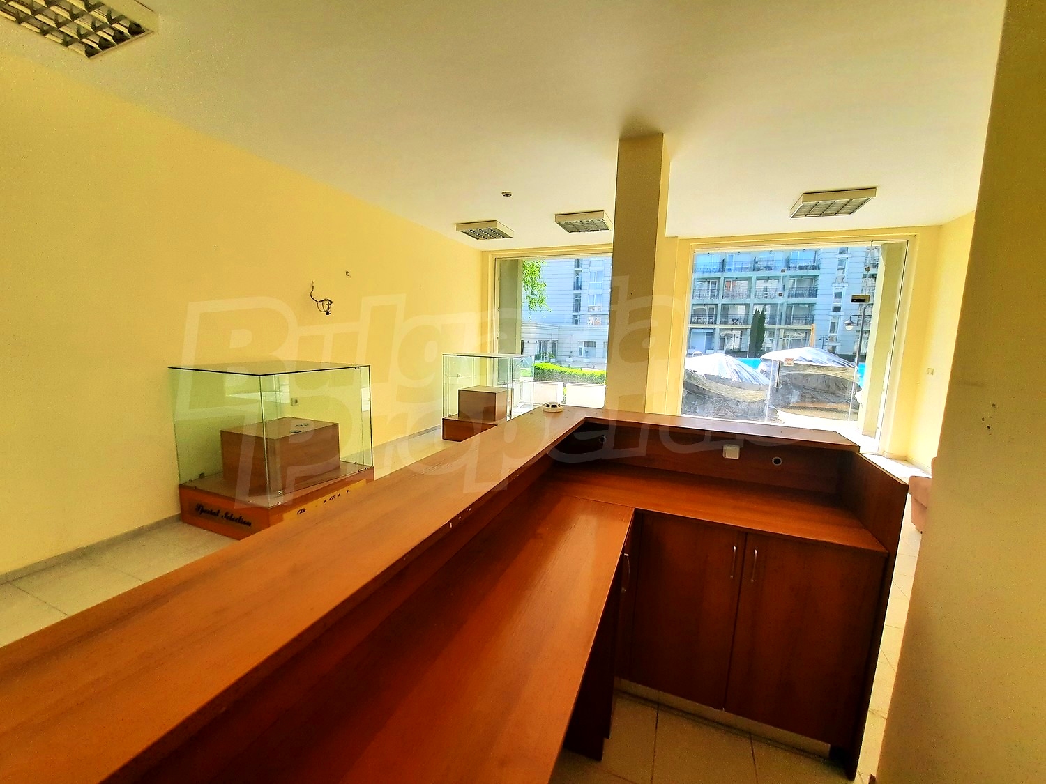 Gallery Picture 6