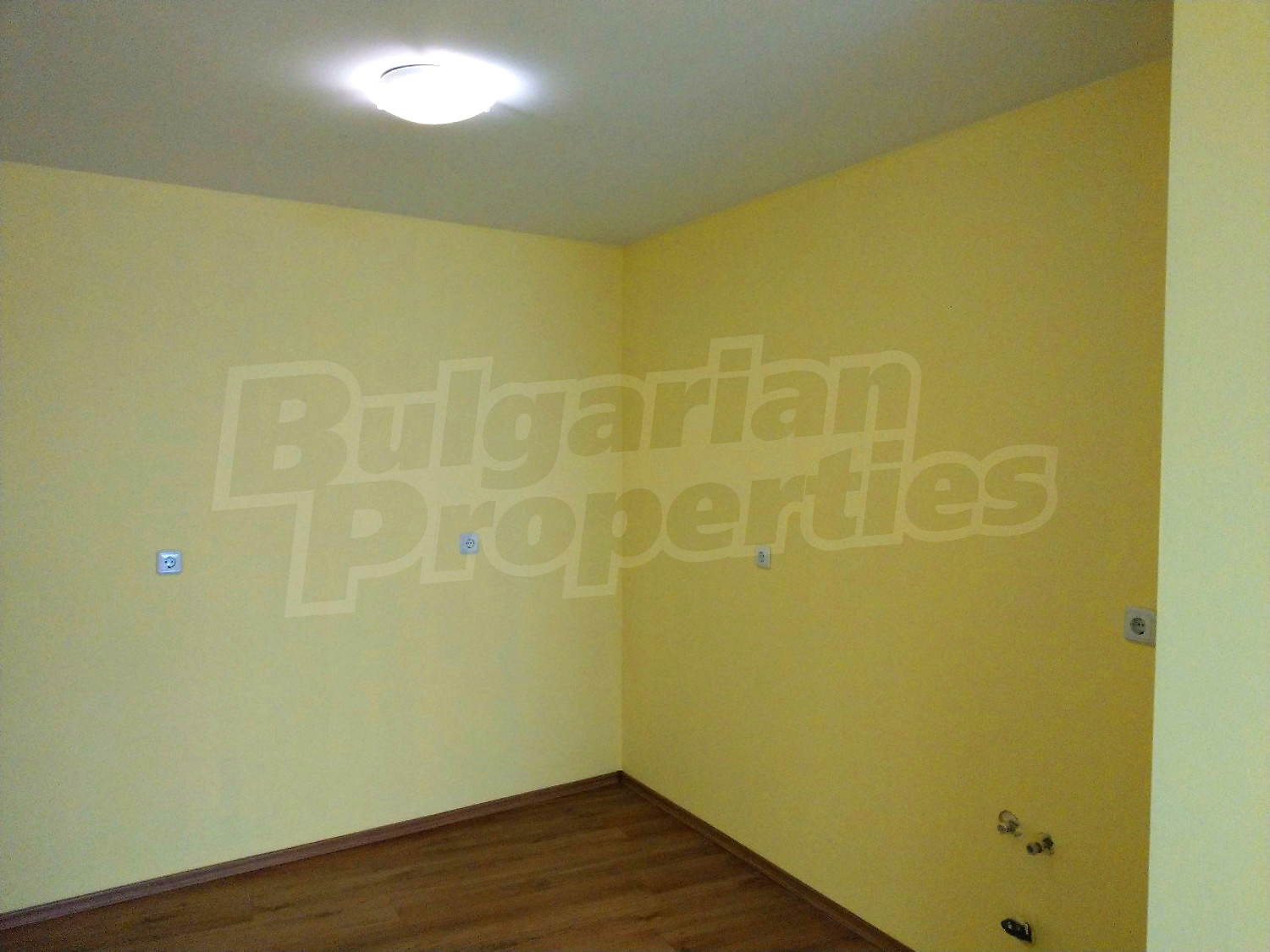 Gallery Picture 14