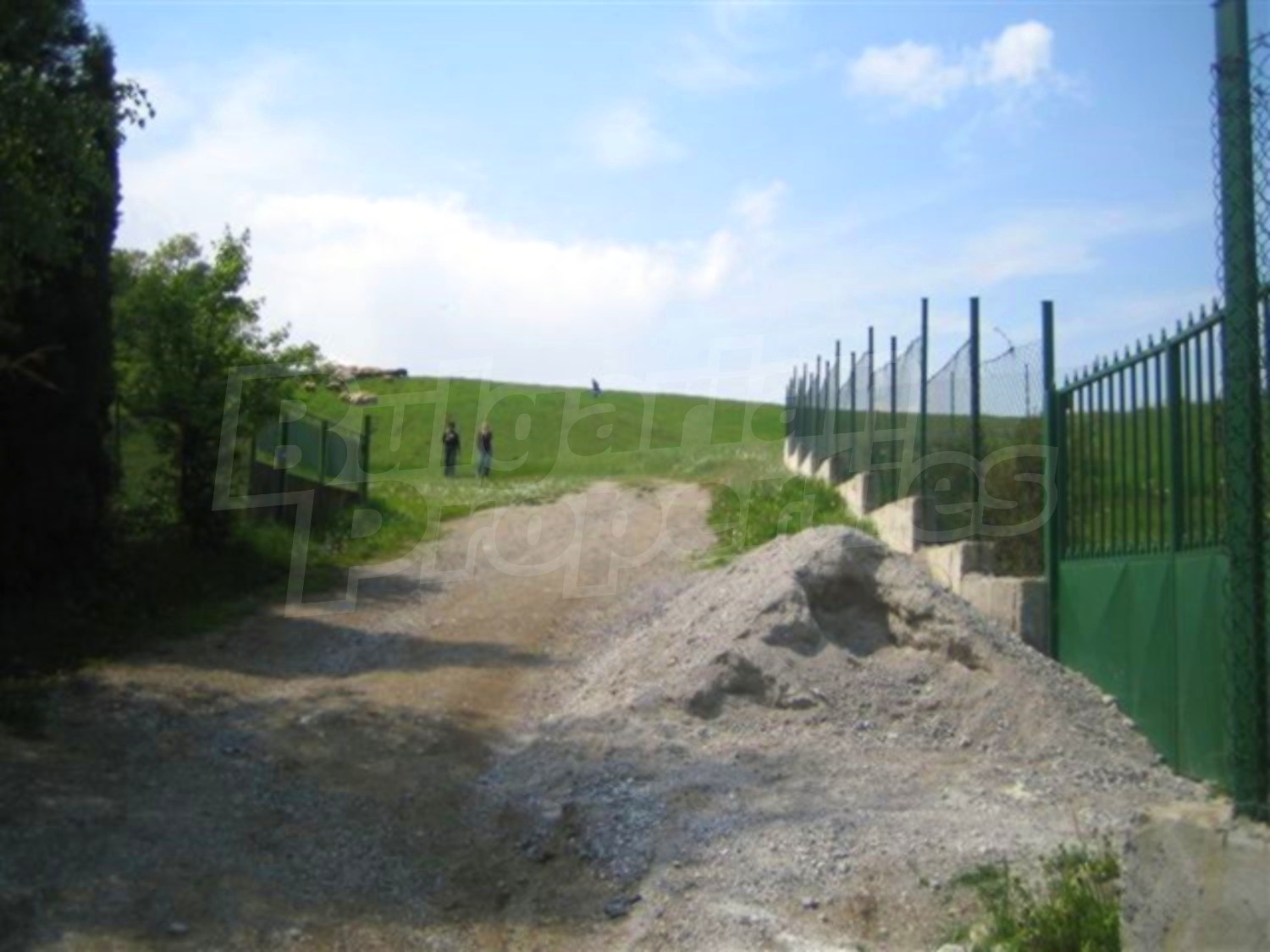 Gallery Picture 19