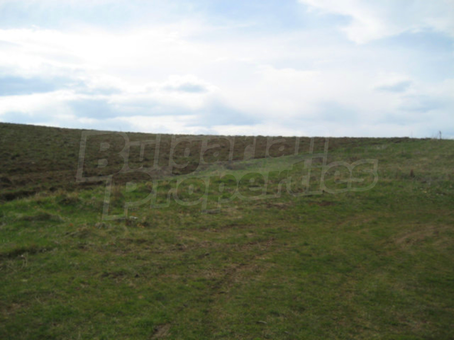 Gallery Picture 9
