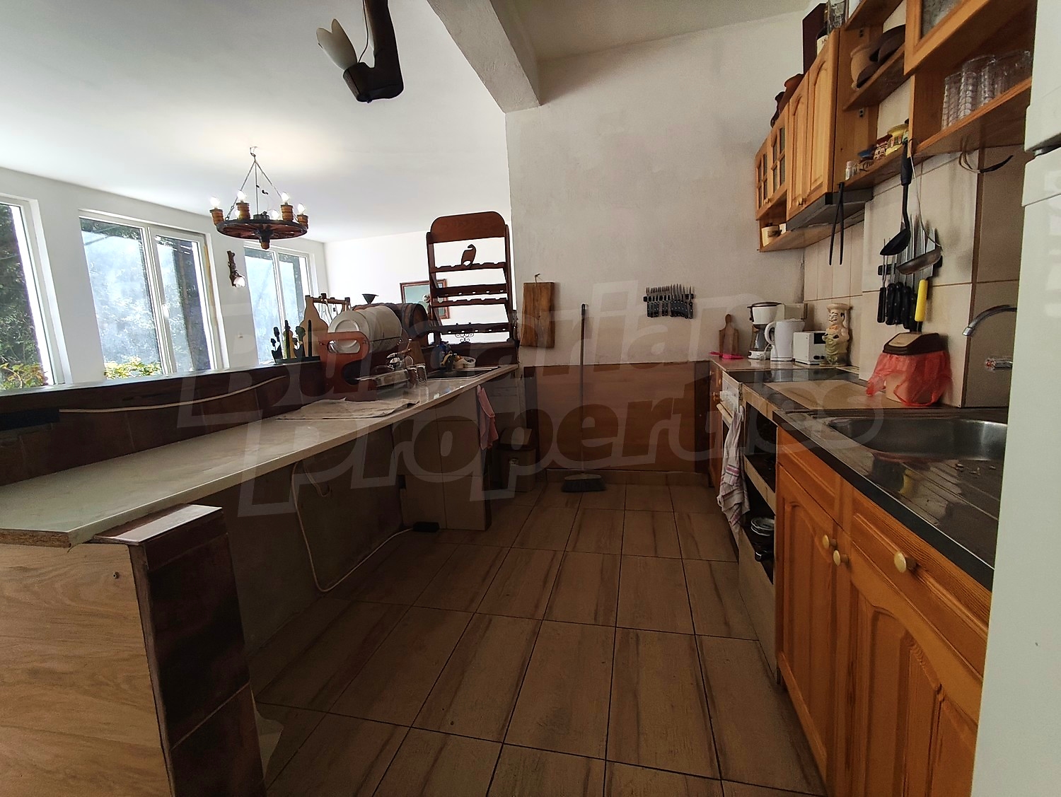 Gallery Picture 15