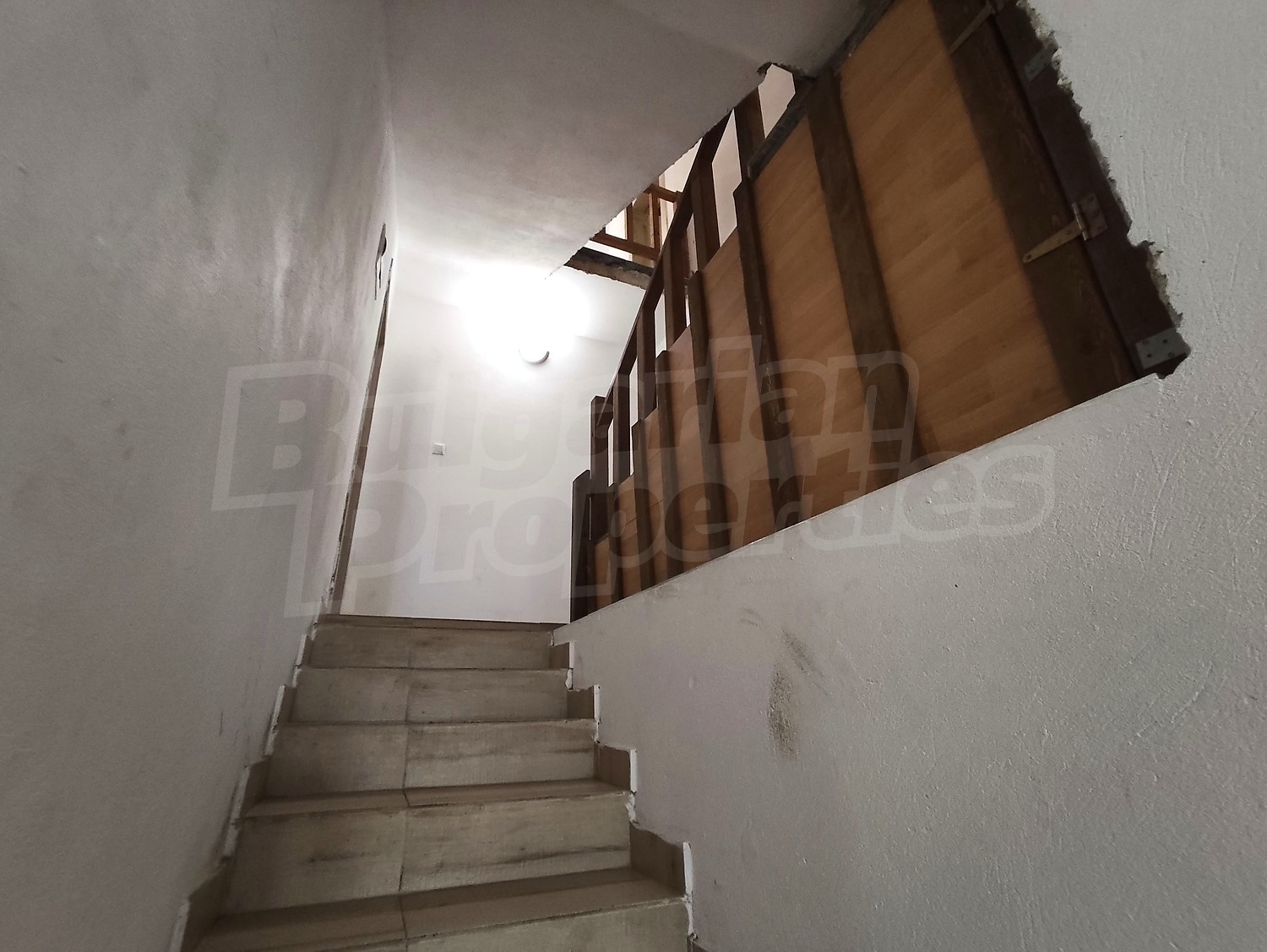 Gallery Picture 18