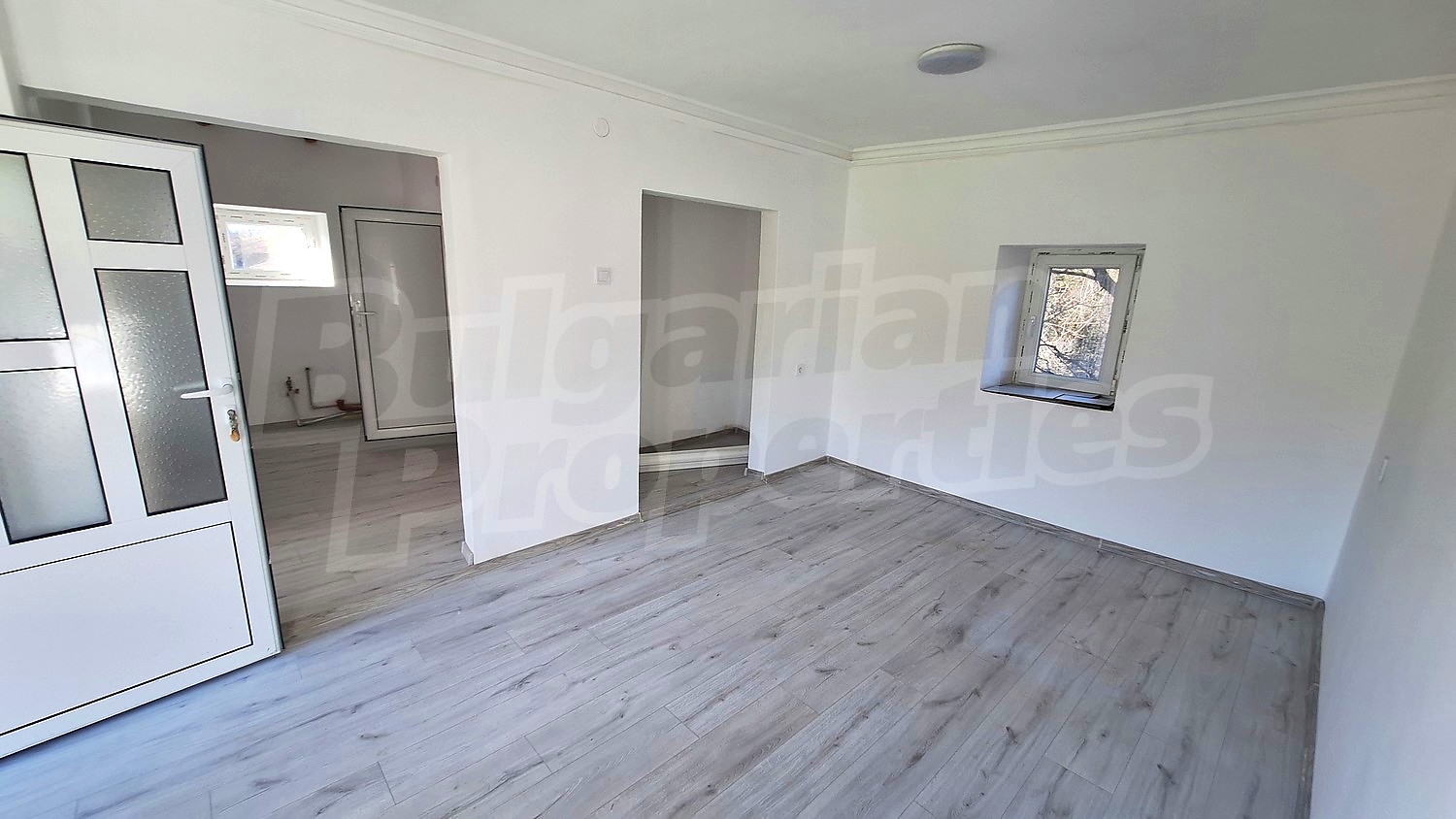 Gallery Picture 31