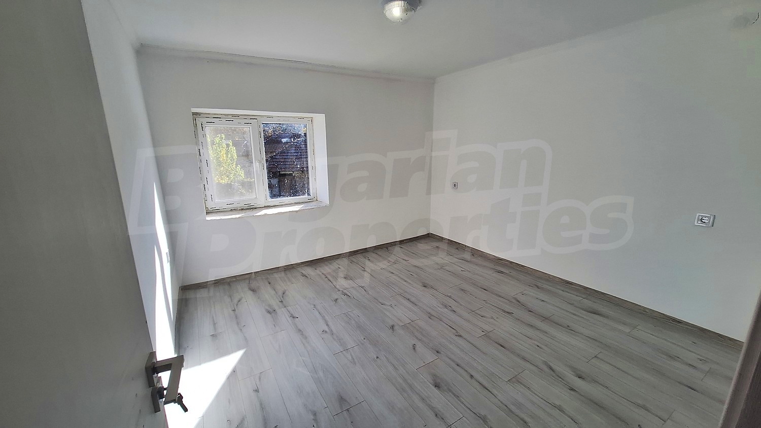 Gallery Picture 37
