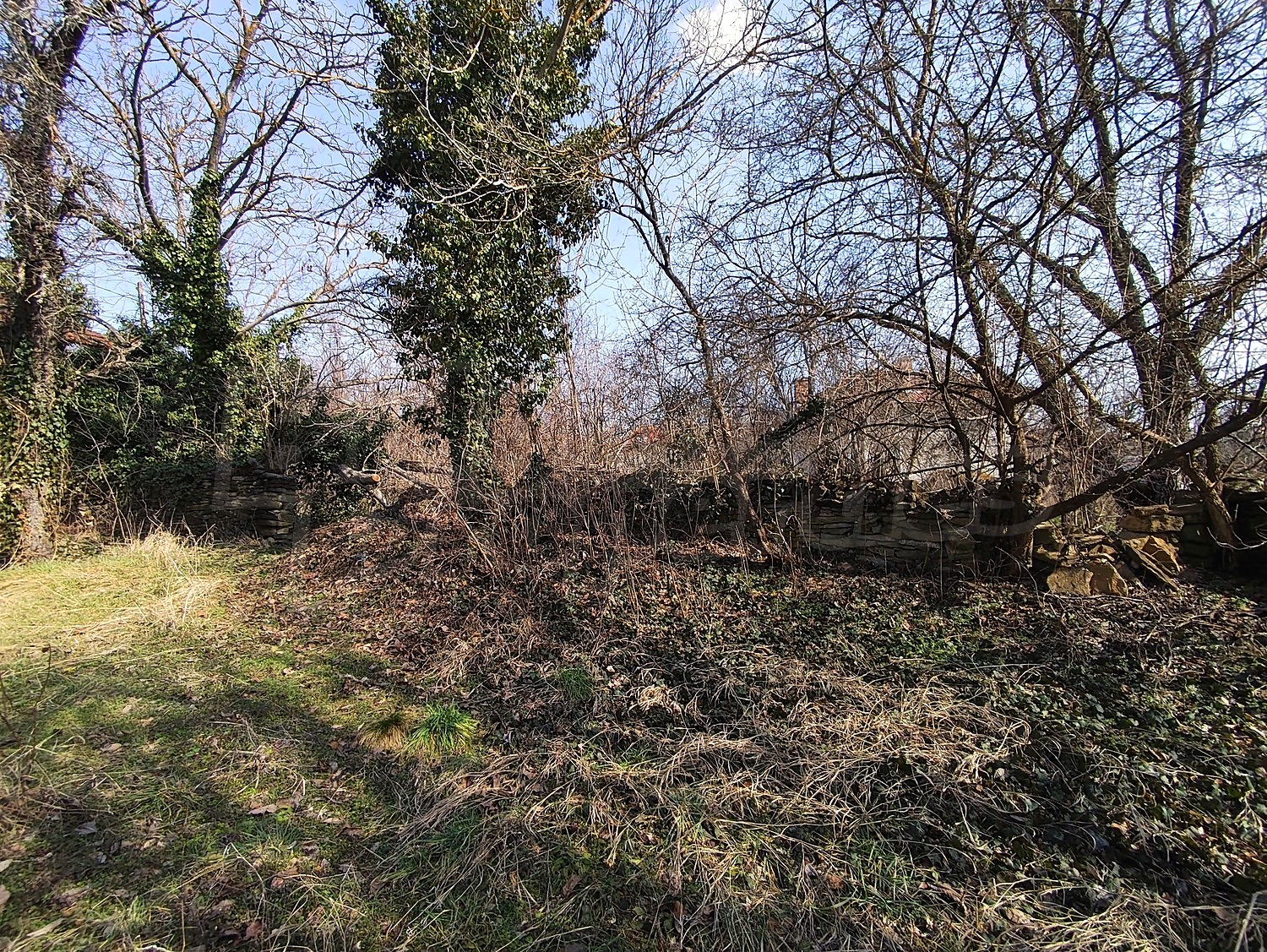 Gallery Picture 33